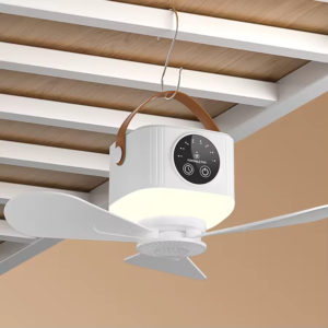 ceiling fan